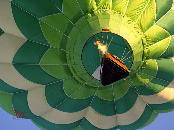 Adirondack Balloon Festival, NY (5)