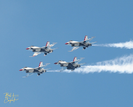 Cleveland National Air Show 2021 (39)