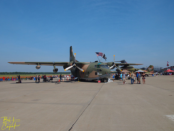 Cleveland National Air Show 2019 (2)