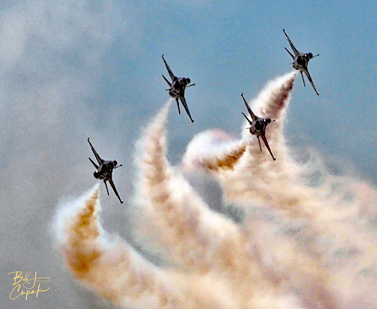 Cleveland National Air Show 2021 (43)