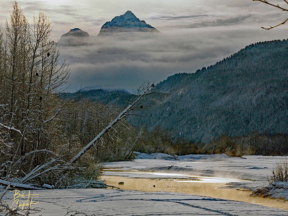 Alaskan Bald Eagles (4)