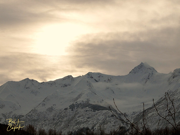 Alaskan Bald Eagles (7)