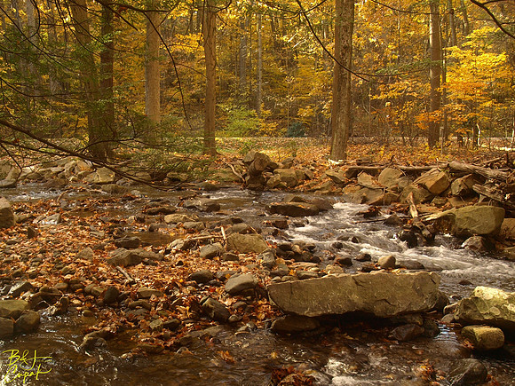 Linn Run State Park, PA (4)
