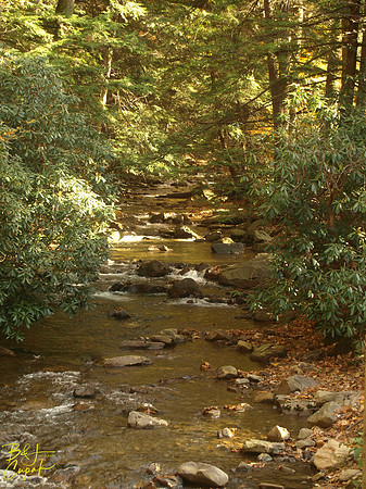 Linn Run State Park, PA (2)