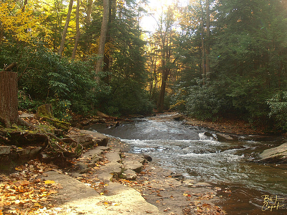 Linn Run State Park, PA (7)