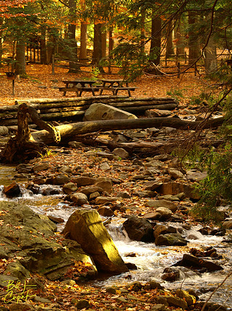 Linn Run State Park, PA (11)