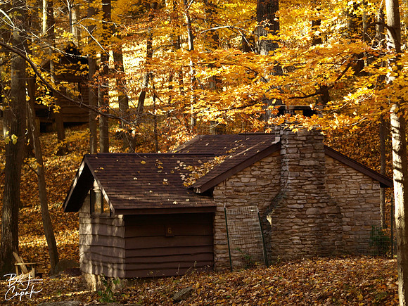 Linn Run State Park, PA (19)