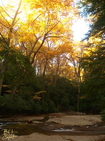 Linn Run State Park, PA (8)