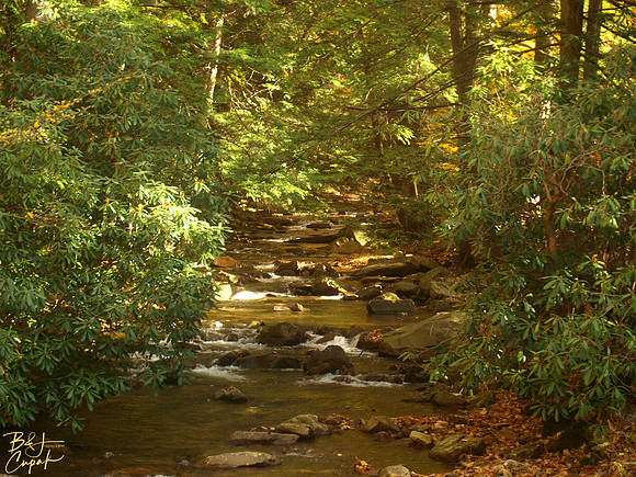 Linn Run State Park, PA (1)