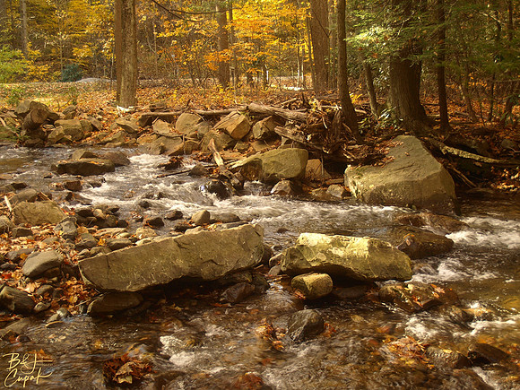 Linn Run State Park, PA (3)