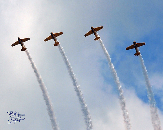 Cleveland National Air Show 2017 (21)