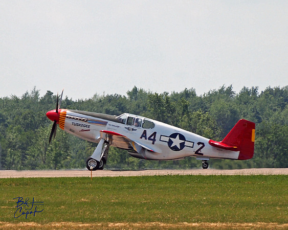 Cleveland National Air Show 2017 (9)