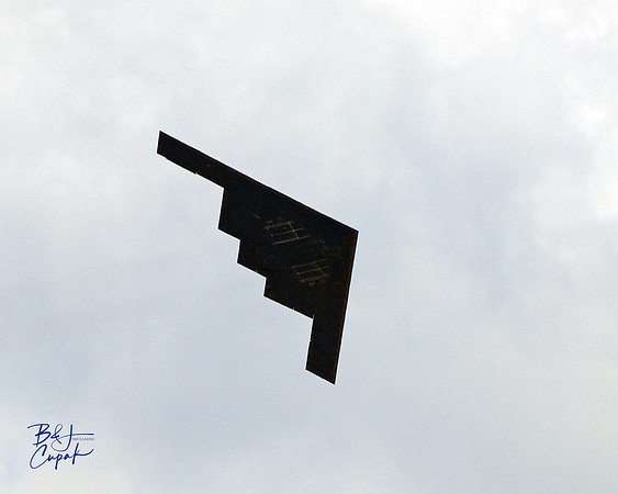 Cleveland National Air Show 2017 (7)