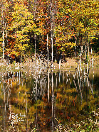 Moraine State Park, PA (8)