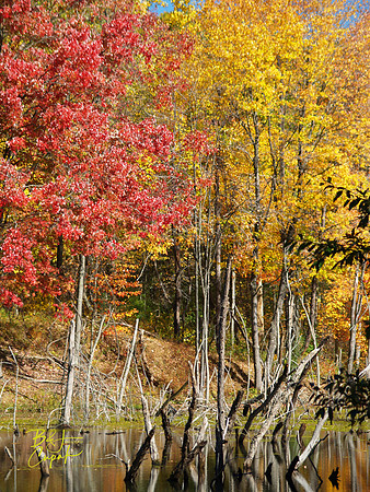 Moraine State Park, PA (17)