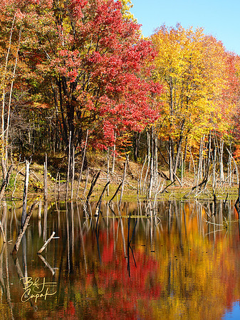 Moraine State Park, PA (12)