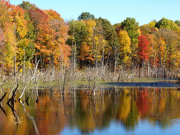 Moraine State Park, PA (10)
