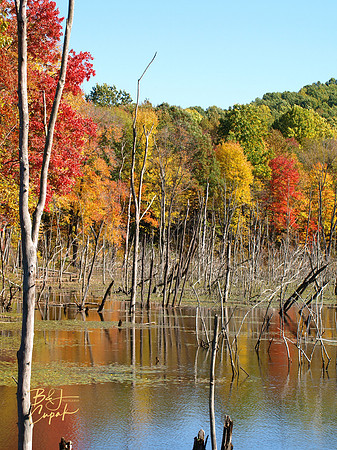 Moraine State Park, PA (14)
