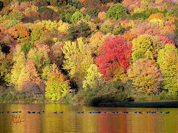 Moraine State Park, PA (4)