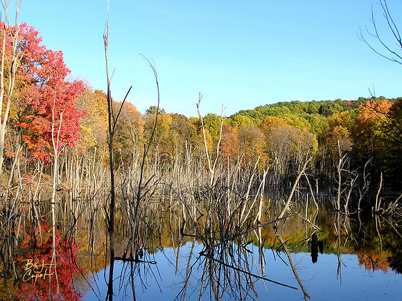Moraine State Park, PA (1)