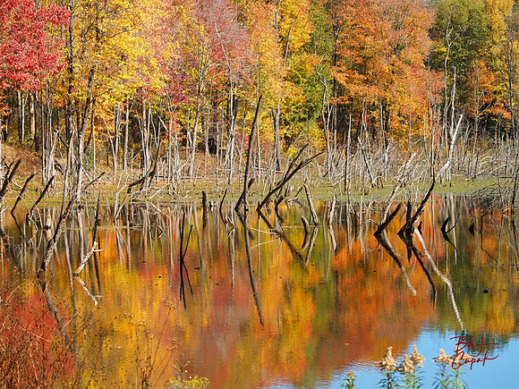 Moraine State Park, PA (18)