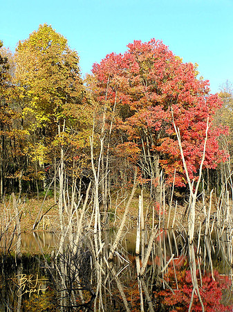 Moraine State Park, PA (2)