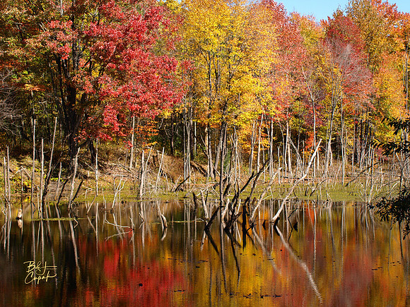 Moraine State Park, PA (9)
