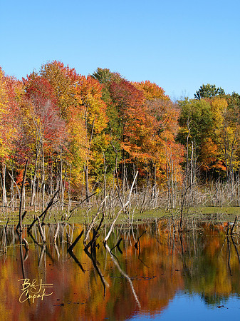 Moraine State Park, PA (11)