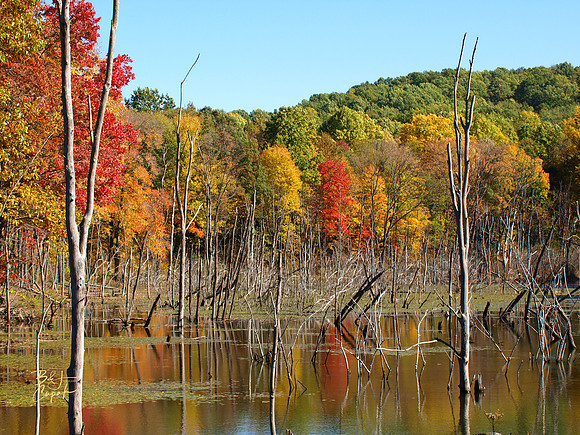 Moraine State Park, PA (13)