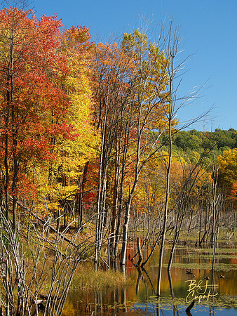 Moraine State Park, PA (19)