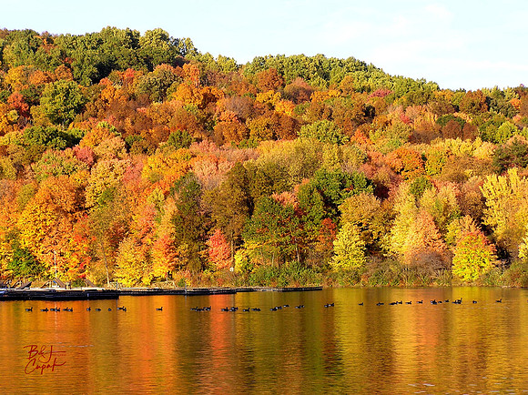 Moraine State Park, PA (5)
