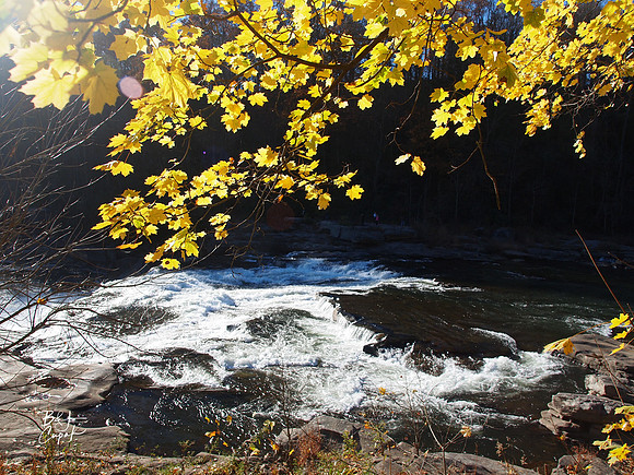 Ohiopyle State Park, PA (7)