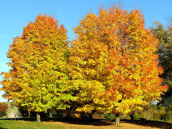 Moraine State Park, PA (3)