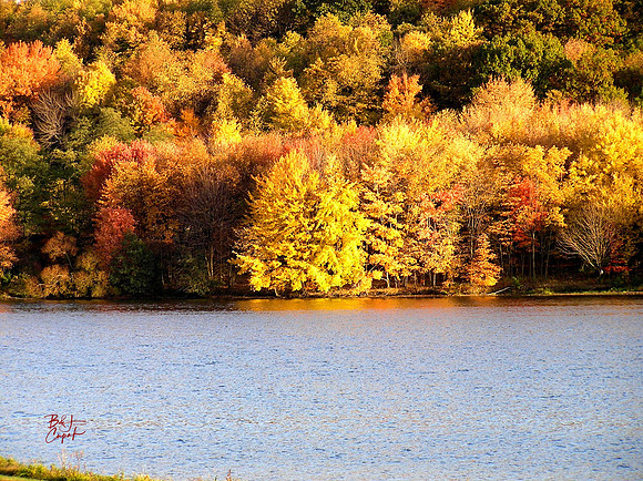 Moraine State Park, PA (5)