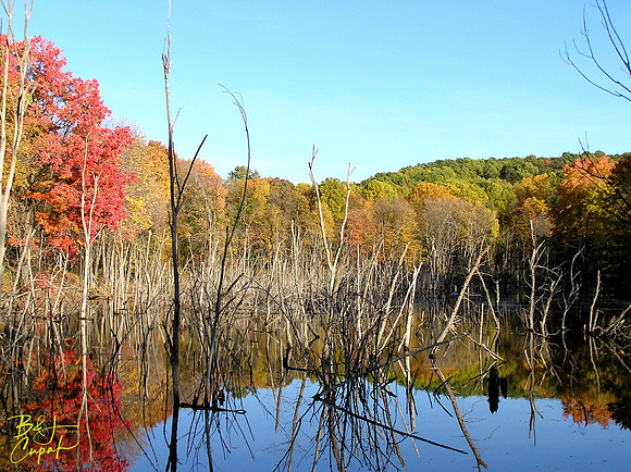 Moraine State Park, PA (21)