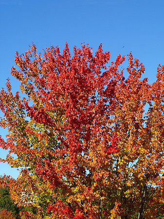 Moraine State Park, PA (14)