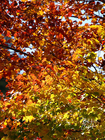 Moraine State Park, PA (8)