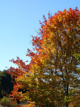 Moraine State Park, PA (7)