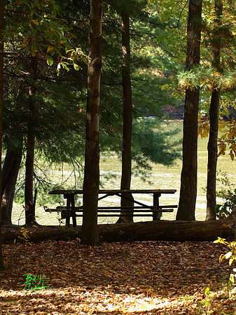 Moraine State Park, PA (11)