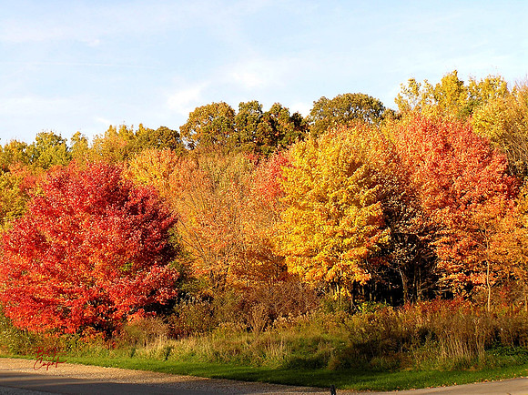 Moraine State Park, PA (4)