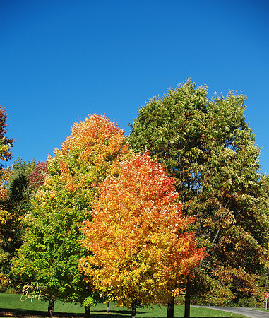 Moraine State Park, PA (17)