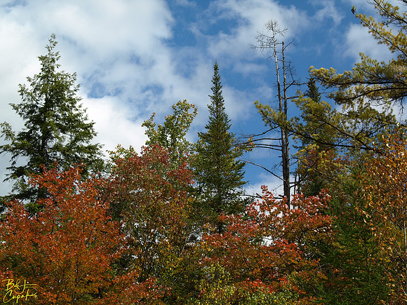 P9256589-1
