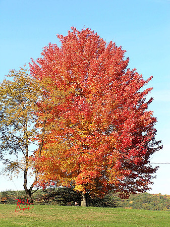 Moraine State Park, PA (2)