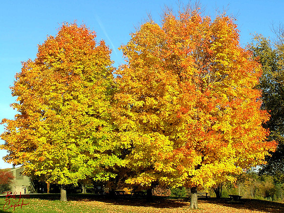 Moraine State Park, PA (22)