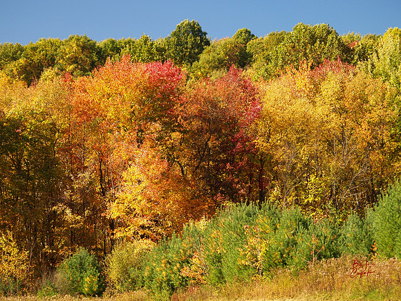 Moraine State Park, PA (15)