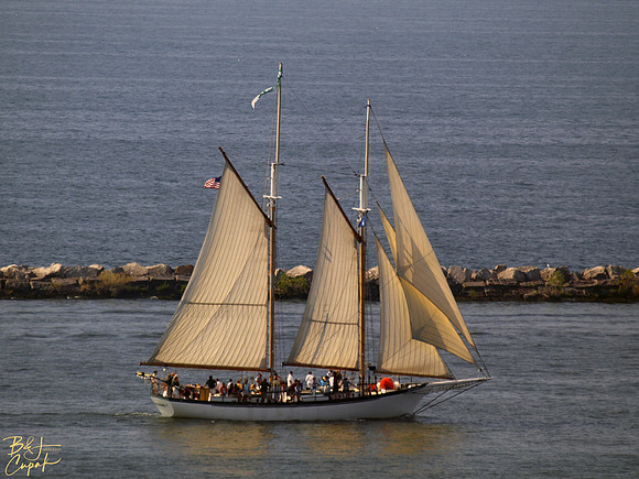 Appledore IV (2)