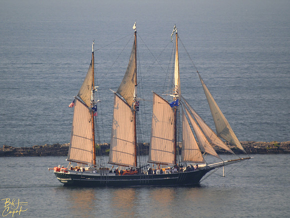 Denis Sullivan (3)
