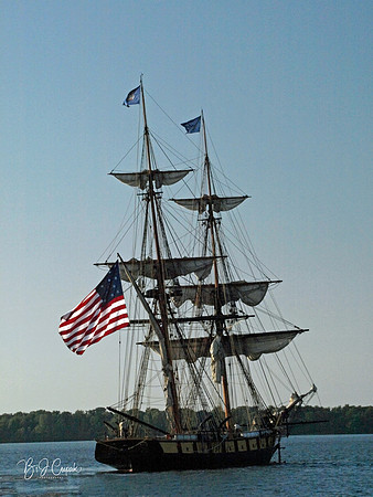 American Flag (12)