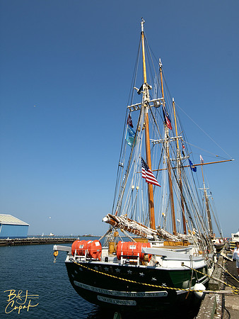 Denis Sullivan (1)