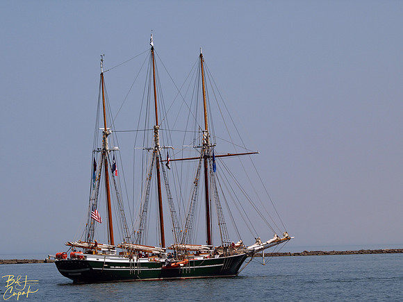Denis Sullivan (2)